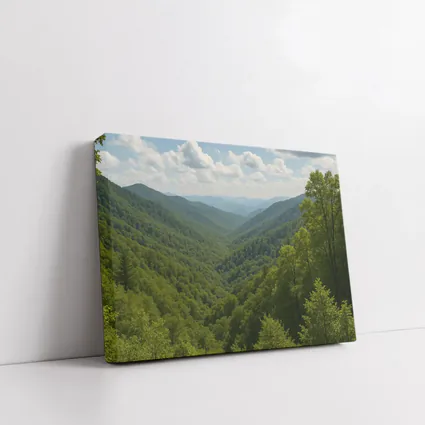 Green Mountain Forest Valley Summer Landscape