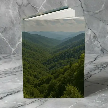 Green Mountain Forest Valley Summer Landscape