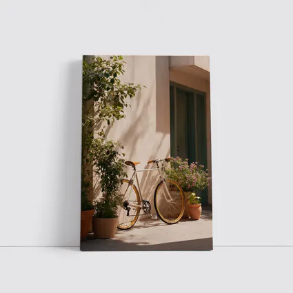 Vintage Bicycle Leaning Against Sunny Courtyard Wall