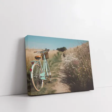 Vintage Mint Bicycle Country Path Wildflowers