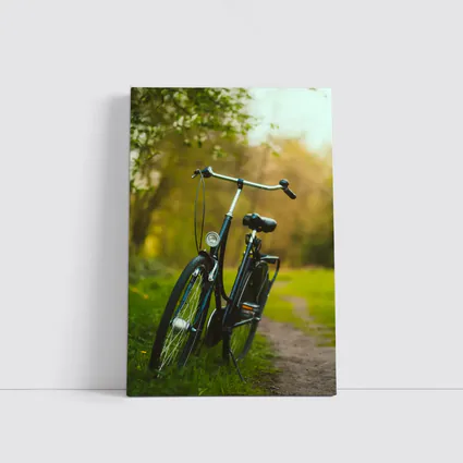 Black City Bicycle Parked On Green Path