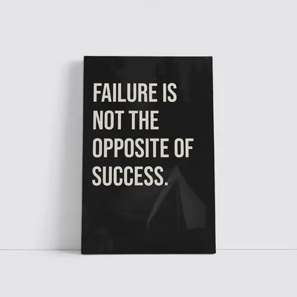 Failure Is Not The Opposite Of Success