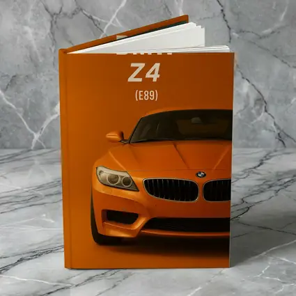 BMW Z4 E89 Orange Minimalist Car Art