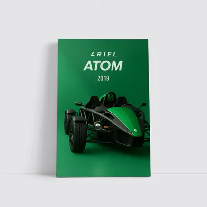 Ariel Atom 2019 Green Studio Art