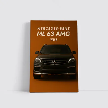 Mercedes Benz ML63 AMG W166 Dark Brown