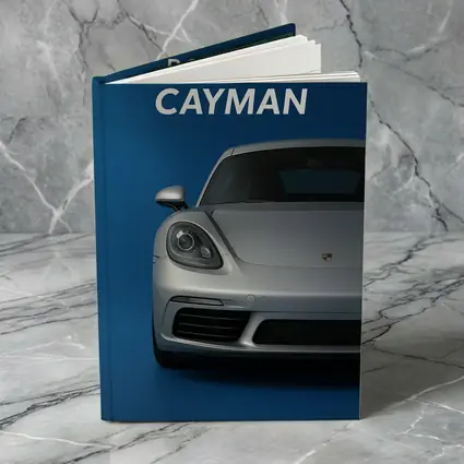 Porsche Cayman Silver Front View Blue Background