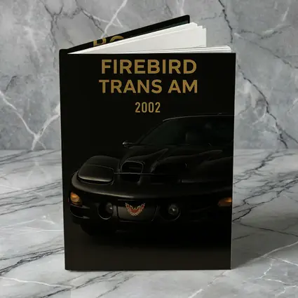 2002 Pontiac Firebird Trans Am Black