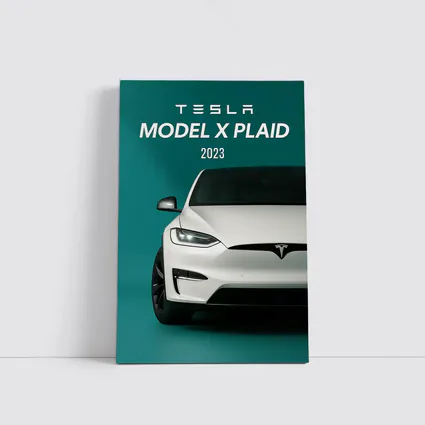 Tesla Model X Plaid White on Teal