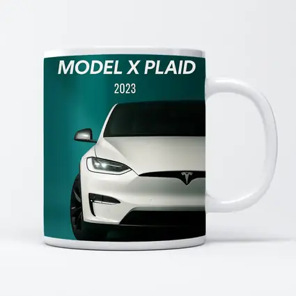 Tesla Model X Plaid White on Teal