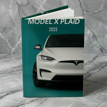 Tesla Model X Plaid White on Teal