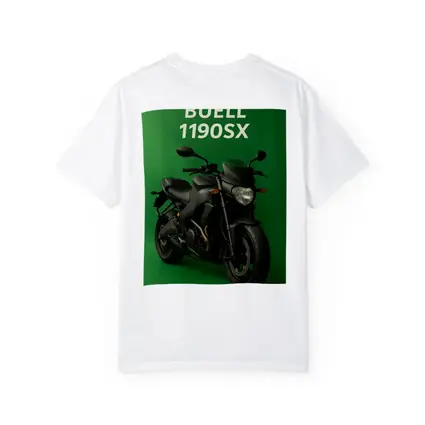 Buell 1190SX Streetfighter Motorcycle Green Background