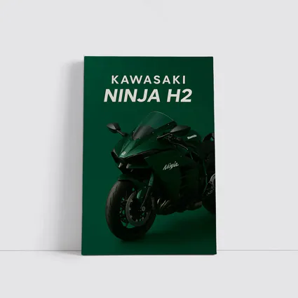Kawasaki Ninja H2 Green Studio Art