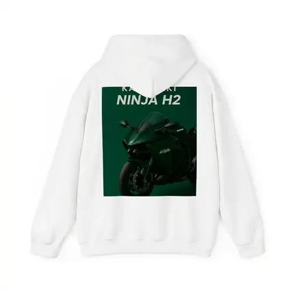 Kawasaki Ninja H2 Green Studio Art