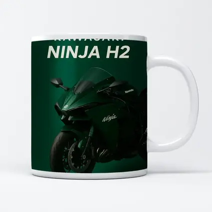 Kawasaki Ninja H2 Green Studio Art