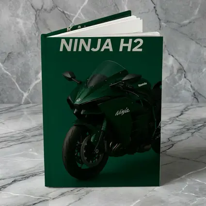 Kawasaki Ninja H2 Green Studio Art
