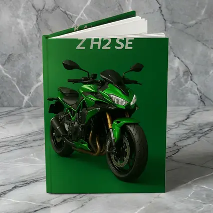 Kawasaki Z H2 SE Green Background Art