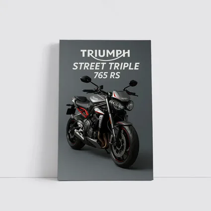 Triumph Street Triple 765 RS Gray