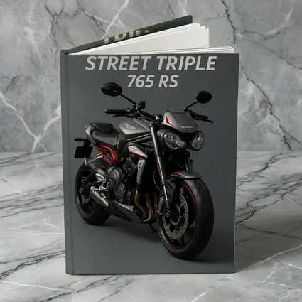 Triumph Street Triple 765 RS Gray