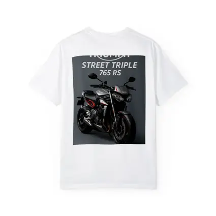 Triumph Street Triple 765 RS Gray