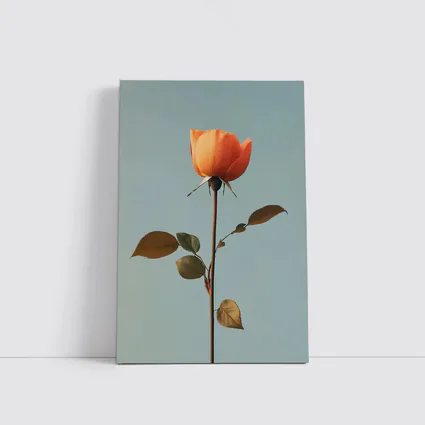 Orange Rose Single Stem Blue Sky