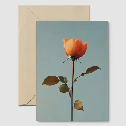Orange Rose Single Stem Blue Sky