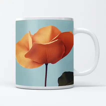 Orange Rose Flower on Light Blue Background