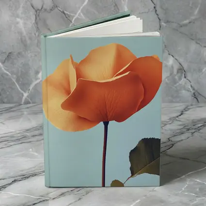 Orange Rose Flower on Light Blue Background