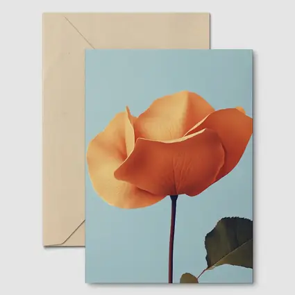 Orange Rose Flower on Light Blue Background