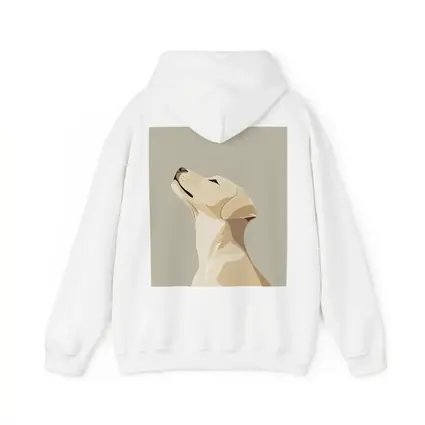 Yellow Labrador Retriever Looking Up Beige Background