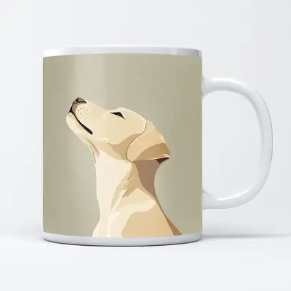 Yellow Labrador Retriever Looking Up Beige Background