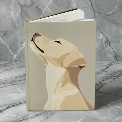Yellow Labrador Retriever Looking Up Beige Background