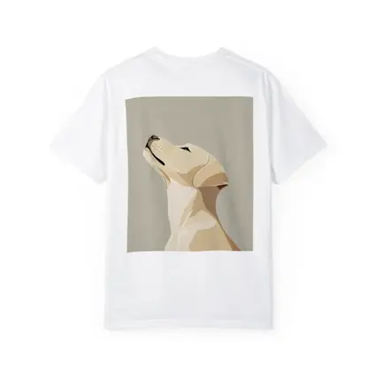 Yellow Labrador Retriever Looking Up Beige Background