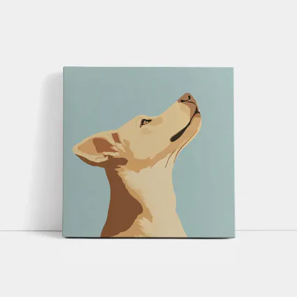 Yellow Lab Dog Looking Up Blue Background