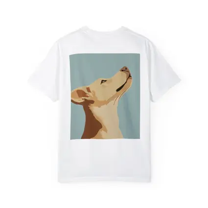 Yellow Lab Dog Looking Up Blue Background