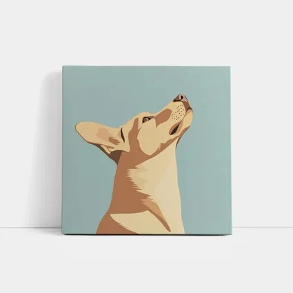 Dog Looking Up Minimal Teal Background