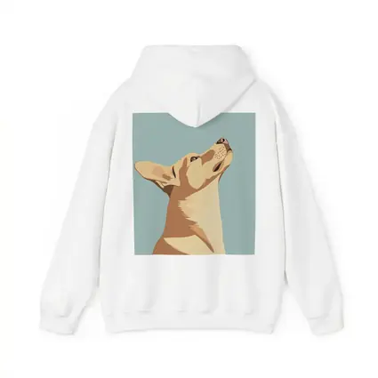 Dog Looking Up Minimal Teal Background