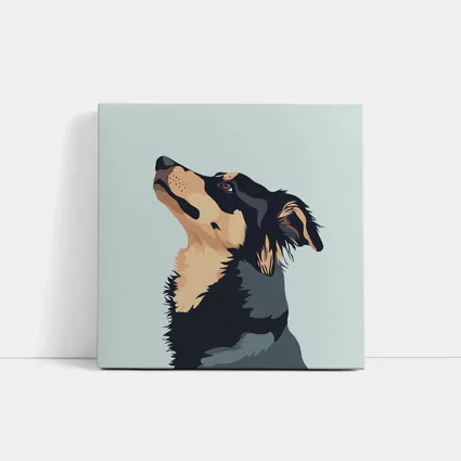 Black Tan Dog Portrait Minimal Blue Background