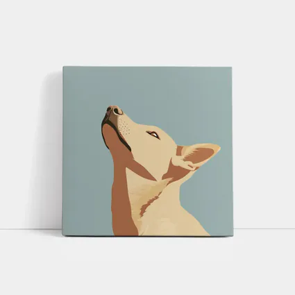 Bull Terrier Dog Portrait Blue Background