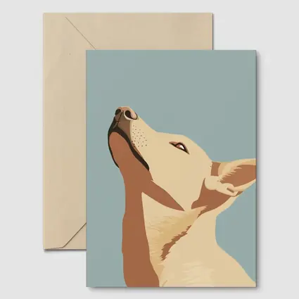 Bull Terrier Dog Portrait Blue Background