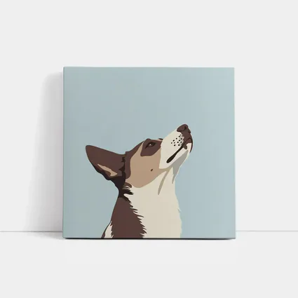 Brown White Dog Looking Up Blue Background