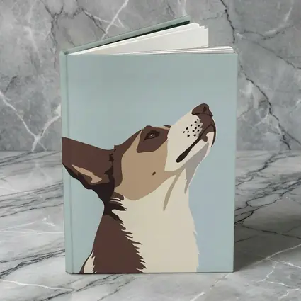 Brown White Dog Looking Up Blue Background