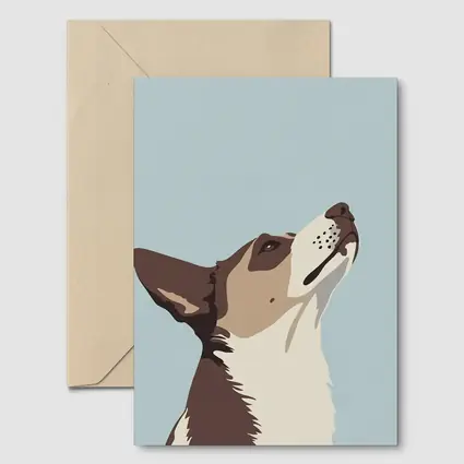 Brown White Dog Looking Up Blue Background