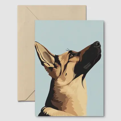 German Shepherd Dog Looking Up Blue Background