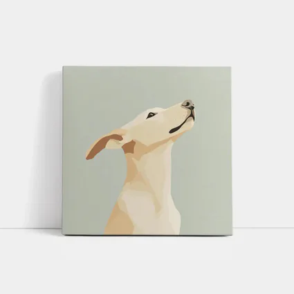 Labrador Dog Looking Up Minimal Art