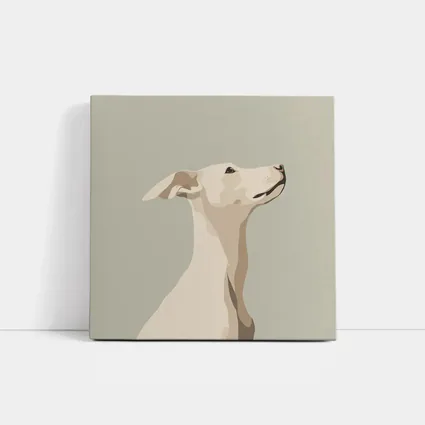 Whippet Dog Portrait Minimalist Beige Background