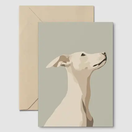 Whippet Dog Portrait Minimalist Beige Background