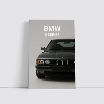 BMW 5 Series Classic Front View Gray
