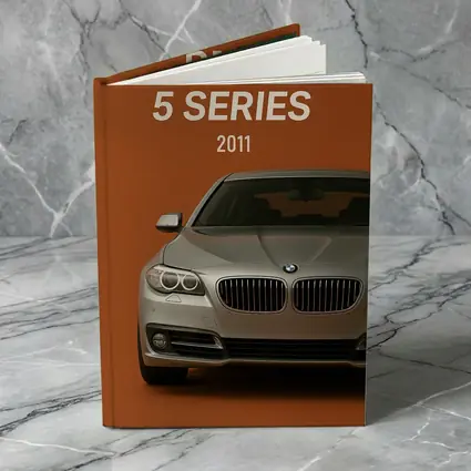 BMW 5 Series Front View Orange Background