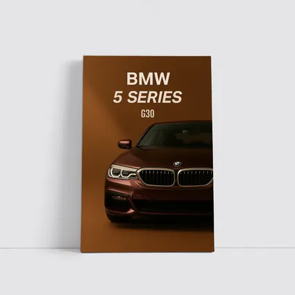 BMW 5 Series G30 Brown Studio