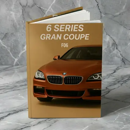 BMW Six Series Gran Coupe Orange